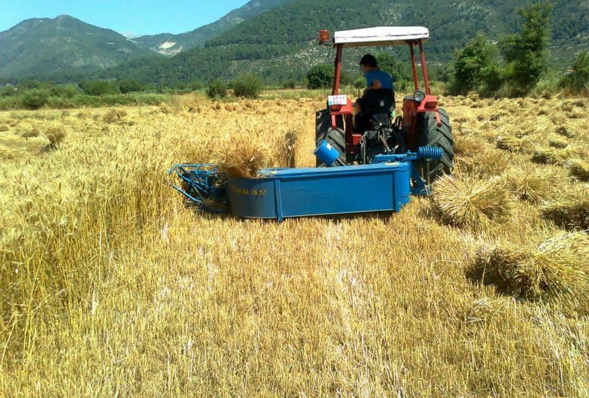 Reaper Binder Machine