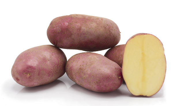 Potato Seeds
